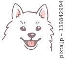 スピッツ。犬の顔のイラスト素材。ベクター 139842994