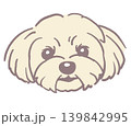 マルチーズ。犬の顔のイラスト素材。ベクター 139842995