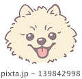 ポメラニアン。犬の顔のイラスト素材。ベクター 139842998