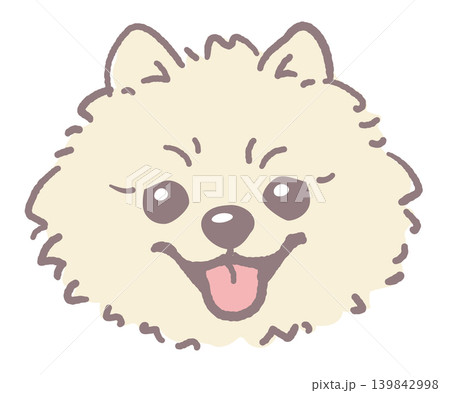 ポメラニアン。犬の顔のイラスト素材。ベクター ポメラニアン。犬の顔のイラスト素材。ベクター 139842998