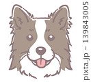 犬の顔のイラスト素材。ベクター 139843005