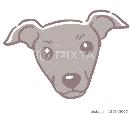 イタリアングレイハンド。犬の顔のイラスト素材。ベクター 139843007