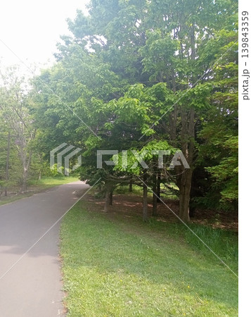 青空と新緑の美しい大樹 豊かな自然と木漏れ日(公園) 青空と新緑の美しい大樹 豊かな自然と木漏れ日(公園) 139843359