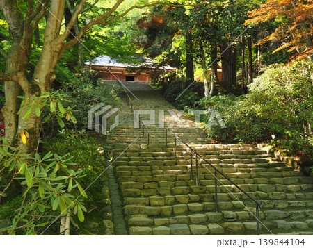 新緑と木漏れ日に包まれる聖域。国宝・金堂へと続く室生寺『鎧坂』の美しい石階段 新緑と木漏れ日に包まれる聖域。国宝・金堂へと続く室生寺『鎧坂』の美しい石階段 139844104