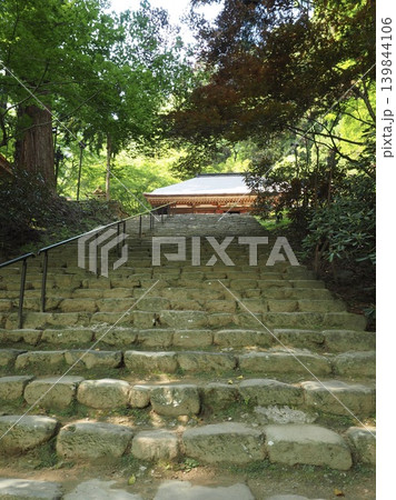 新緑と木漏れ日に包まれる聖域。国宝・金堂へと続く室生寺『鎧坂』の美しい石階段 139844106
