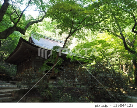 光と影が織りなす静寂のシンフォニー。奈良・室生寺の境内で出会うみずみずしい緑の絶景 139844122