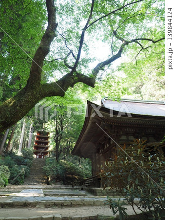 古木のシルエットが紡ぐ聖域の記憶。初夏の新緑に包まれる室生寺の本堂と五重塔 139844124