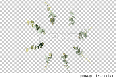 水彩風格的尤加利圓形邊框插圖,花環,留白,向量圖。 水彩風格的尤加利圓形邊框插圖,花環,留白,向量圖。 139844134