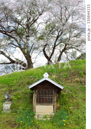 となりのトトロの風景 となりのトトロの風景 139844153