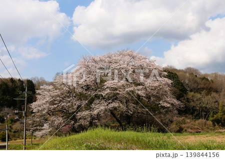 となりのトトロの風景 となりのトトロの風景 139844156