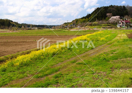 となりのトトロの風景 となりのトトロの風景 139844157