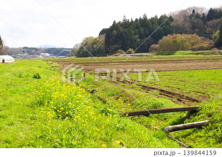 となりのトトロの風景 となりのトトロの風景 139844159