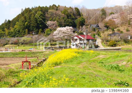 となりのトトロの風景 139844160
