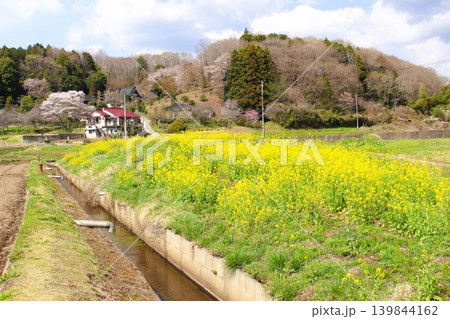 となりのトトロの風景 となりのトトロの風景 139844162