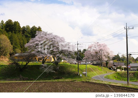 となりのトトロの風景 139844170