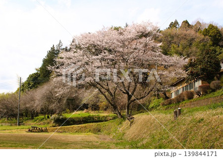 となりのトトロの風景 となりのトトロの風景 139844171