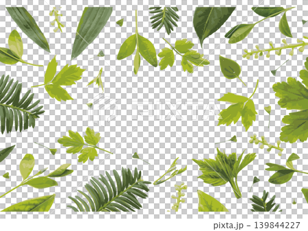 水彩風格的清新綠葉和植物插圖，留有空白區域。向量圖。 139844227