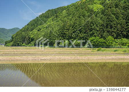 奥琵琶湖の長閑な田園風景 滋賀県高島市マキノ町 奥琵琶湖の長閑な田園風景 滋賀県高島市マキノ町 139844277
