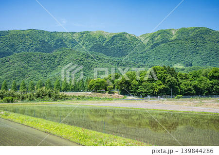 奥琵琶湖の長閑な田園風景　滋賀県高島市マキノ町 139844286