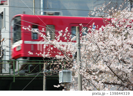 桜と京急電車 桜と京急電車 139844319