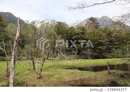上高地・田代湿原と穂高連峰 上高地・田代湿原と穂高連峰 139844357