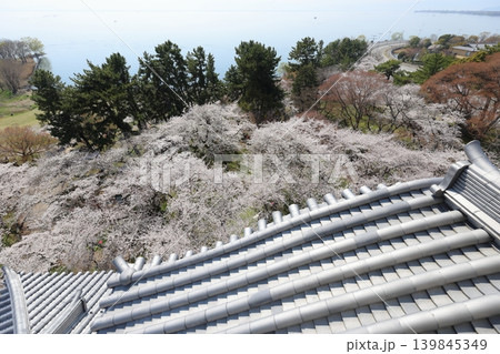 滋賀県　長浜城　羽柴秀吉出世の城　春のお城まつりの様子 139845349