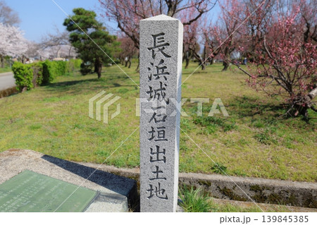 滋賀県　長浜城　羽柴秀吉出世の城　春のお城まつりの様子 139845385