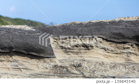城ヶ島の地層アップ、三浦半島 城ヶ島の地層アップ、三浦半島 139845540