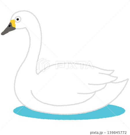 白鳥のイラスト 白鳥のイラスト 139845772