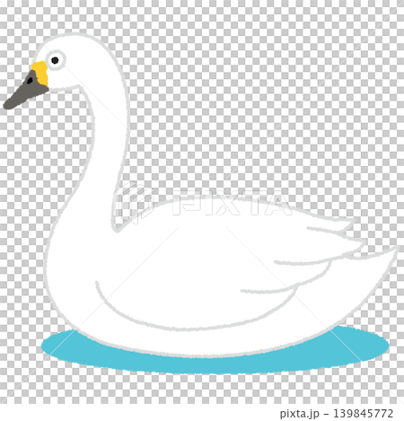 swan illustration swan illustration 139845772
