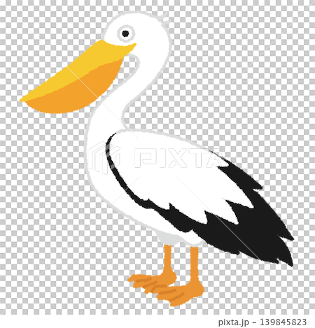 鵜鶘插圖 鵜鶘插圖 139845823
