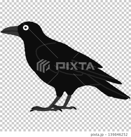 カラスのイラスト カラスのイラスト 139846252