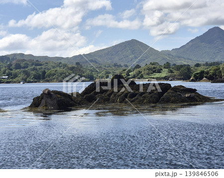 Mountain Lake in Natural Highland Landscape with Trees and Clouds in the Sky 139846506