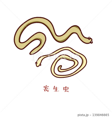 寄生虫による食中毒イラスト 139846665