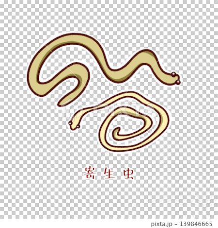 寄生虫による食中毒イラスト 139846665