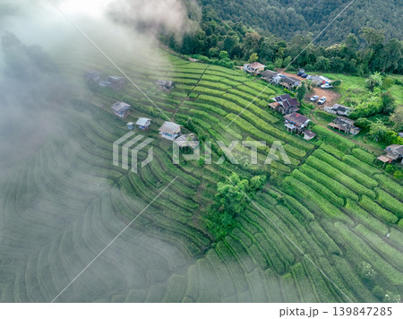 Aerial view of lush terraced rice fields with misty mountains. Sustainable rural agriculture and traditional farming harmony with nature. Tourism and cultural marketing. Traditional farming practices. Aerial view of lush terraced rice fields with misty mountains. Sustainable rural agriculture and traditional farming harmony with nature. Tourism and cultural marketing. Traditional farming practices. 139847285