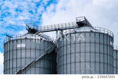 Agricultural silo at feed mill factory. Big tank for store grain in feed manufacturing. Seed stock tower for animal feed production. Commercial feed for livestock, swine and fish industries. 139847893