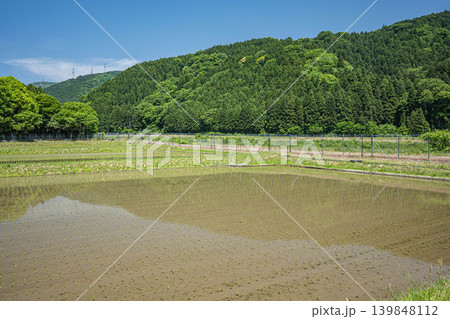 奥琵琶湖の長閑な田園風景　滋賀県高島市マキノ町 139848112