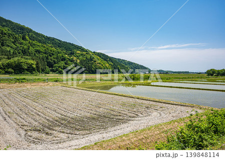 奥琵琶湖の長閑な田園風景 滋賀県高島市マキノ町 奥琵琶湖の長閑な田園風景 滋賀県高島市マキノ町 139848114