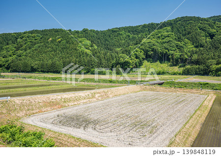 奥琵琶湖の長閑な田園風景 滋賀県高島市マキノ町 奥琵琶湖の長閑な田園風景 滋賀県高島市マキノ町 139848119