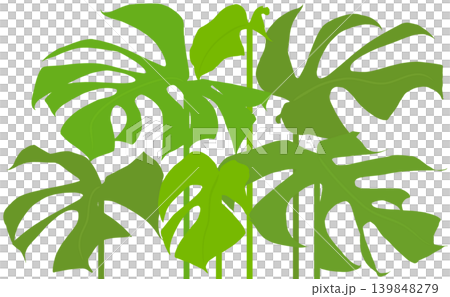 A tropical cutout pattern designed with monstera leaves. A tropical cutout pattern designed with monstera leaves. 139848279