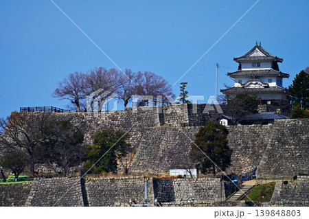 讃岐国 丸亀城の石垣や櫓等の様子 讃岐国 丸亀城の石垣や櫓等の様子 139848803