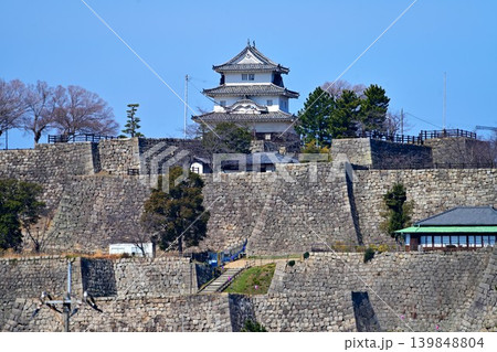 讃岐国 丸亀城の石垣や櫓等の様子 讃岐国 丸亀城の石垣や櫓等の様子 139848804
