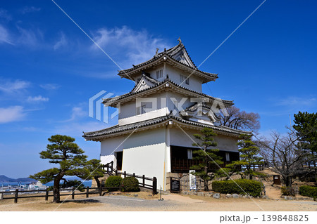 讃岐国 丸亀城の石垣や櫓等の様子 讃岐国 丸亀城の石垣や櫓等の様子 139848825