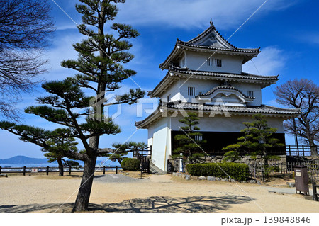 讃岐国　丸亀城の石垣や櫓等の様子 139848846