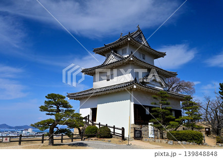 讃岐国 丸亀城の石垣や櫓等の様子 讃岐国 丸亀城の石垣や櫓等の様子 139848848