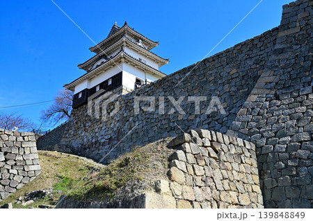 讃岐国　丸亀城の石垣や櫓等の様子 139848849