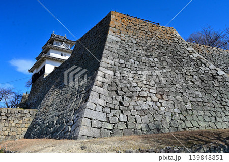 讃岐国 丸亀城の石垣や櫓等の様子 讃岐国 丸亀城の石垣や櫓等の様子 139848851