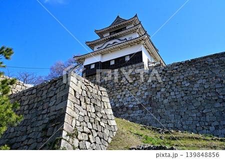 讃岐国 丸亀城の石垣や櫓等の様子 讃岐国 丸亀城の石垣や櫓等の様子 139848856