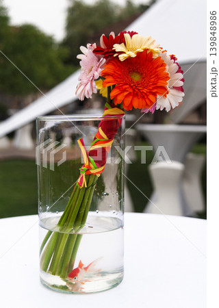 Colorful Gerbera Bouquet Tied With Bright Ribbons in Glass Vase Over Goldfish on Outdoor Table Colorful Gerbera Bouquet Tied With Bright Ribbons in Glass Vase Over Goldfish on Outdoor Table 139848986